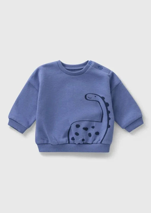 Baby Blue Dino Sweatshirt (Newborn-23mths)