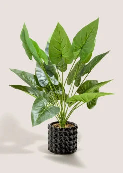 Black Bobble Pot & Plant