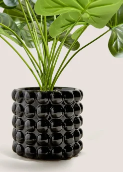 Black Bobble Pot & Plant
