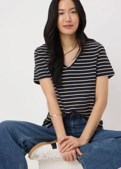 Black Stripe V-Neck Regular Fit T-Shirt