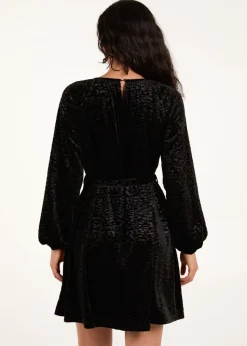 Blue Vanilla Black Velvet Belted Swing Dress