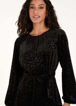 Blue Vanilla Black Velvet Belted Swing Dress