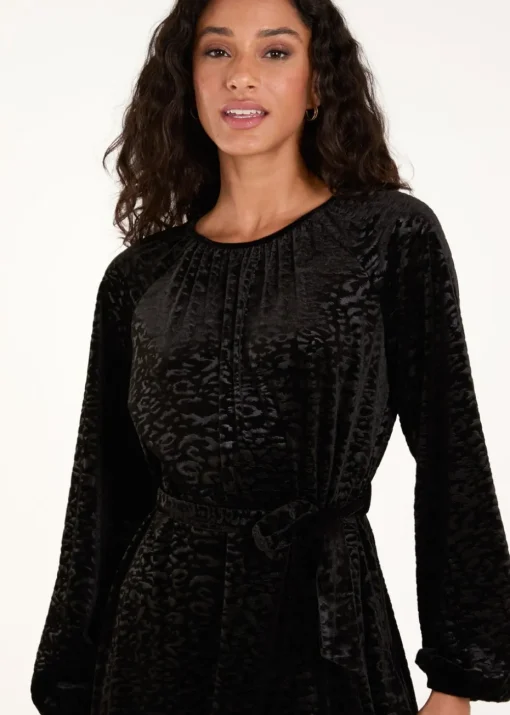 Blue Vanilla Black Velvet Belted Swing Dress