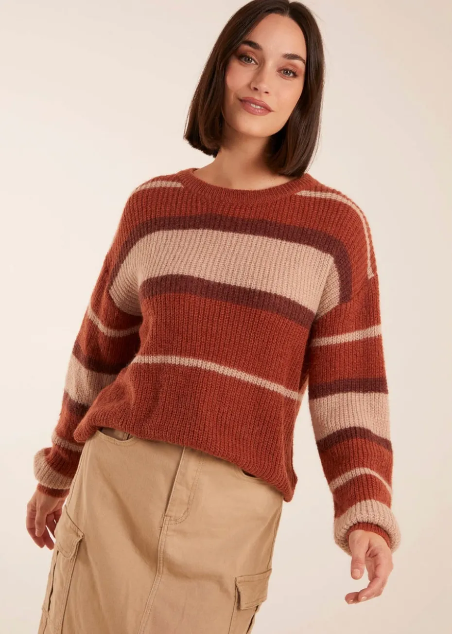 Blue Vanilla Striped Print Jumper