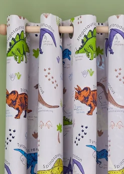 Catherine Lansfield Prehistoric Dinosaurs Fully Reversible Curtains