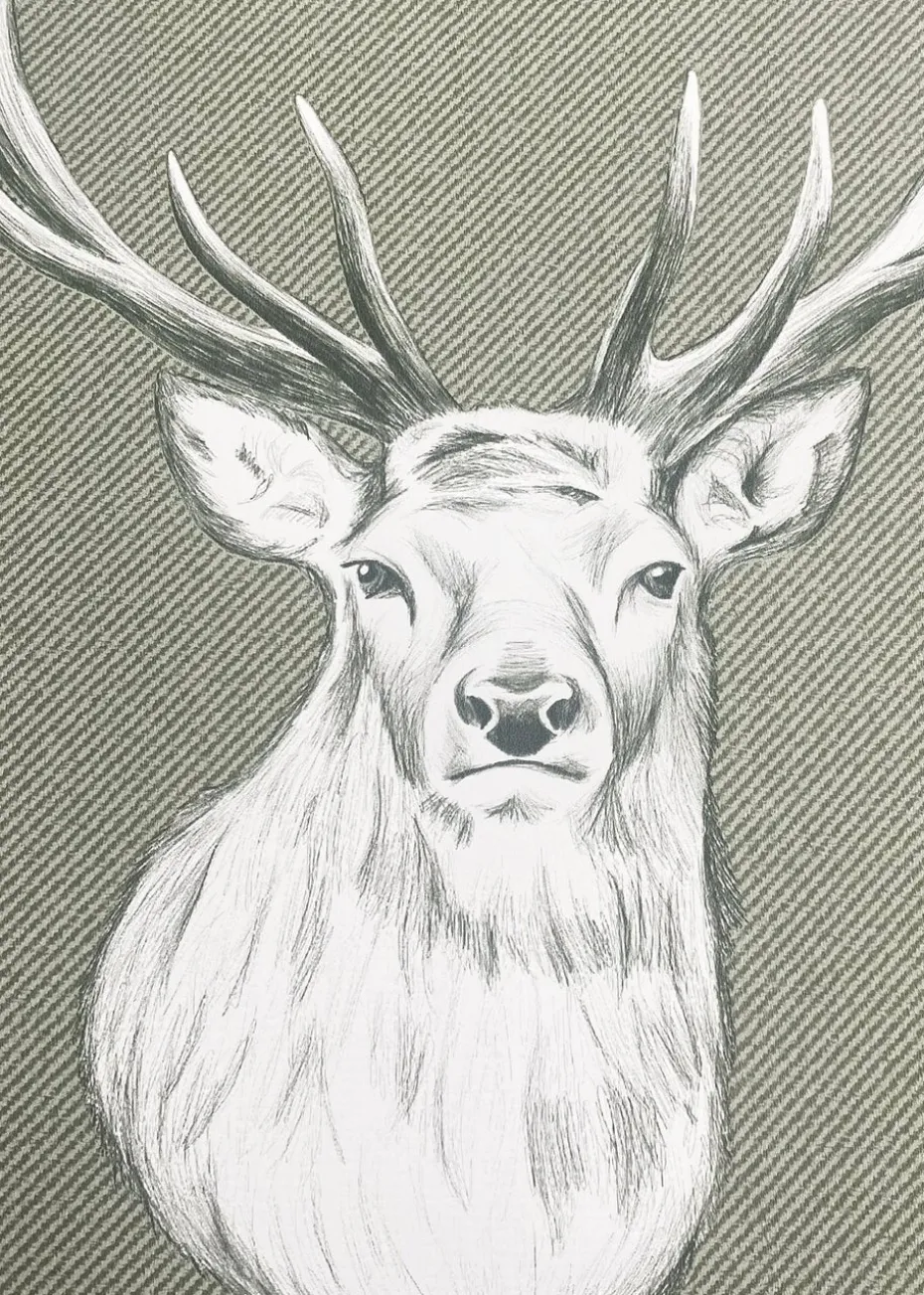 Catherine Lansfield Stag Sage