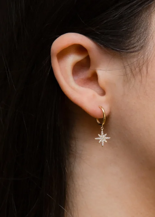 Golden Moments 9ct Yellow Gold CZ North Star Drop Stud Earrings