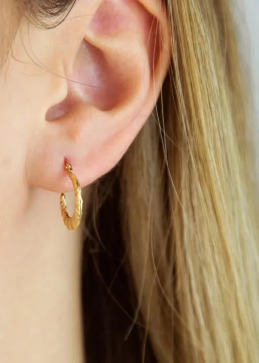 Golden Moments 9ct Yellow Gold Satin and Polished Mini Hoops