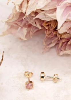 Golden Moments 9ct Yellow Gold Round Pink CZ Stud Earrings