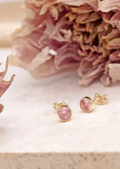 Golden Moments 9ct Yellow Gold Round Pink CZ Stud Earrings