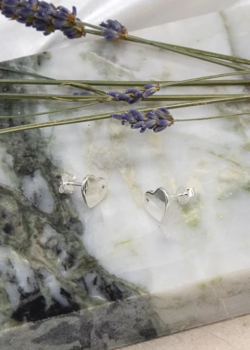 Golden Moments Sterling Silver CZ Polished 'Heart' Stud Earrings