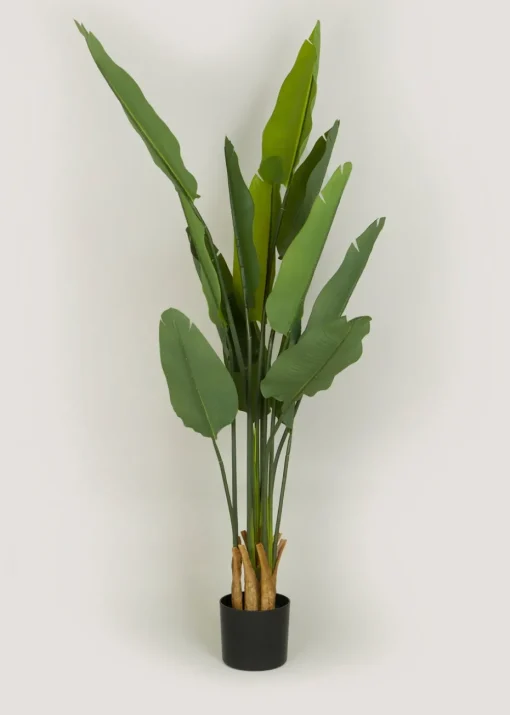 Green Banana Tree