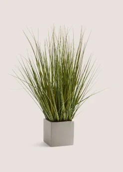 Grey Pot With Grass