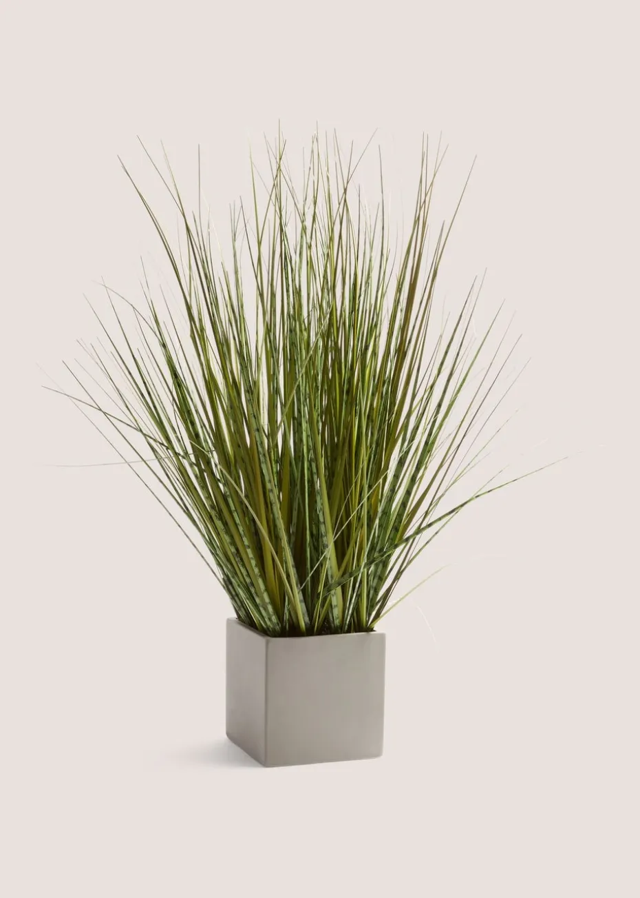 Grey Pot With Grass