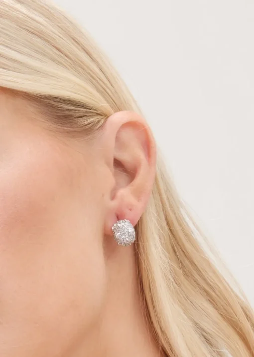 Jon Richard Silver Plated Cubic Zirconia Dome Earrings