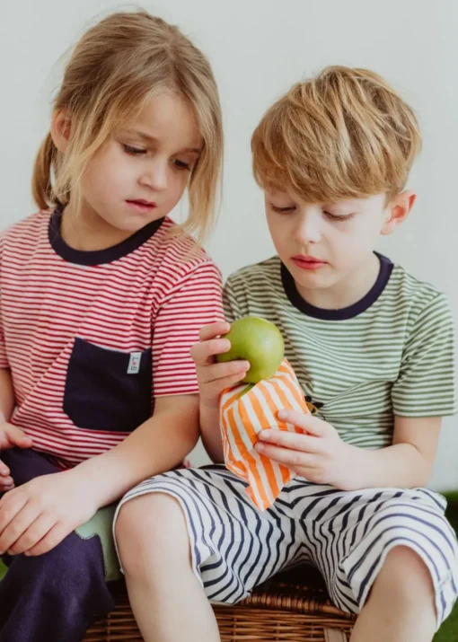 Lilly & Sid Multicoloured Seagull & Stripe Print Top 2 Pack (0-8 Years)
