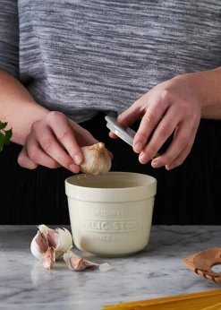 Mason Cash Innovative Kitchen Garlic Store & Grater