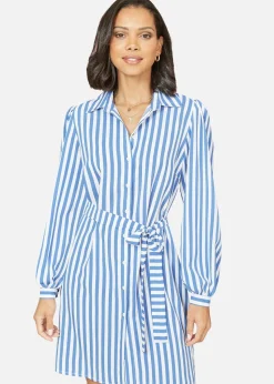Mela Blue Striped Relaxed Fit Shirt Dress
