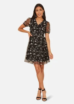 Mela Embroidery Mesh Skater Dress In Black
