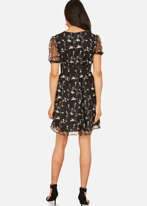 Mela Embroidery Mesh Skater Dress In Black