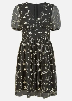 Mela Embroidery Mesh Skater Dress In Black