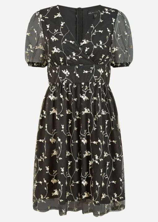 Mela Embroidery Mesh Skater Dress In Black