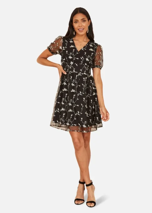 Mela Embroidery Mesh Skater Dress In Black