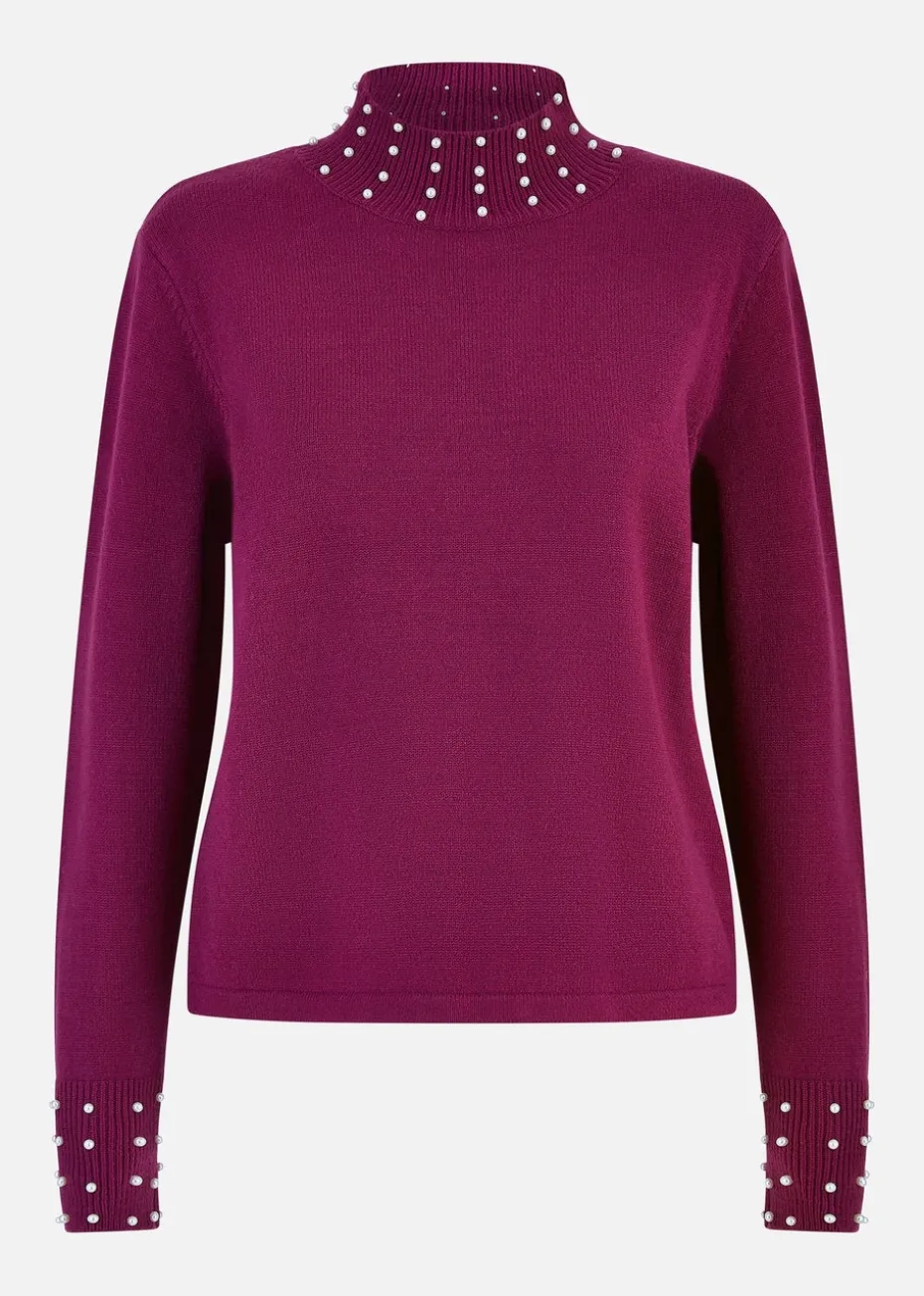 Mela Plum Pearl Detail High Neck Jumper