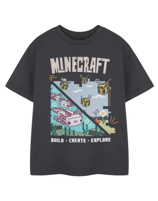 Minecraft Kids Grey Build Create Explore T-Shirt (3-14 Years)