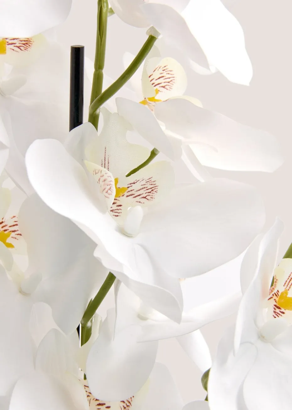 Orchid In Resin Shell Pot (41cm x 31cm x 70cm)