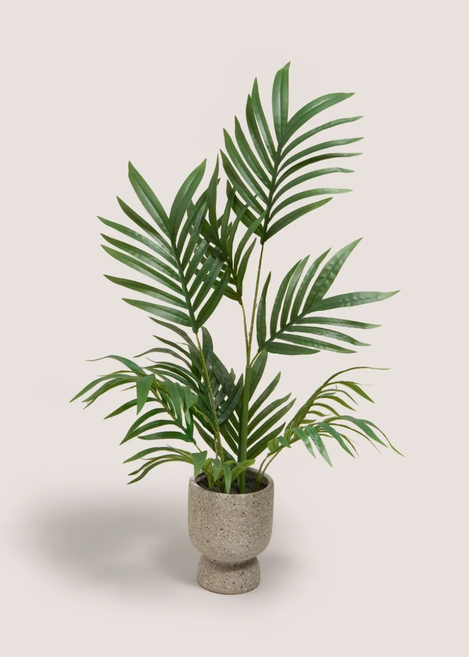 Palm Plant in Stone Pot