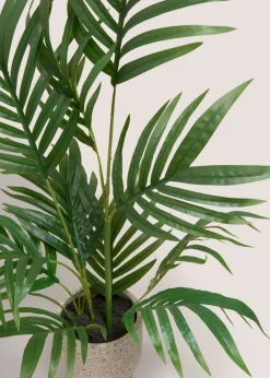 Palm Plant in Stone Pot