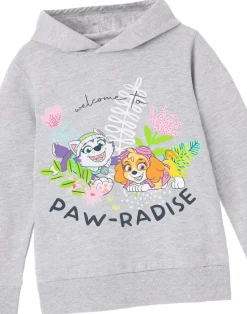 Paw Patrol Paw Radise Kids Grey Marl Hoodie (3-8 years)