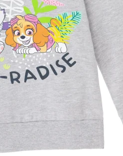 Paw Patrol Paw Radise Kids Grey Marl Hoodie (3-8 years)