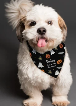 Personalised Memento Company Black Halloween Dog Bandana