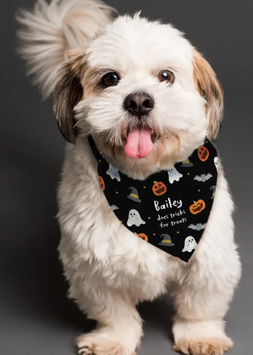 Personalised Memento Company Black Halloween Dog Bandana