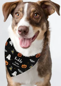 Personalised Memento Company Black Halloween Dog Bandana