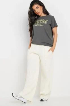 Pixiegirl Grey Boston Slogan T-Shirt