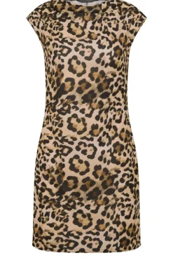 Pixiegirl Petite Brown Leopard Print High Neck Mini Dress