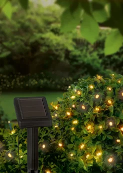 Premier Decorations 1000 LED Warm White Solar String Lights