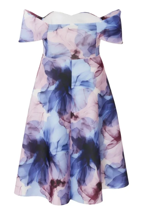 Quiz Blue Petite Floral Skater Dress