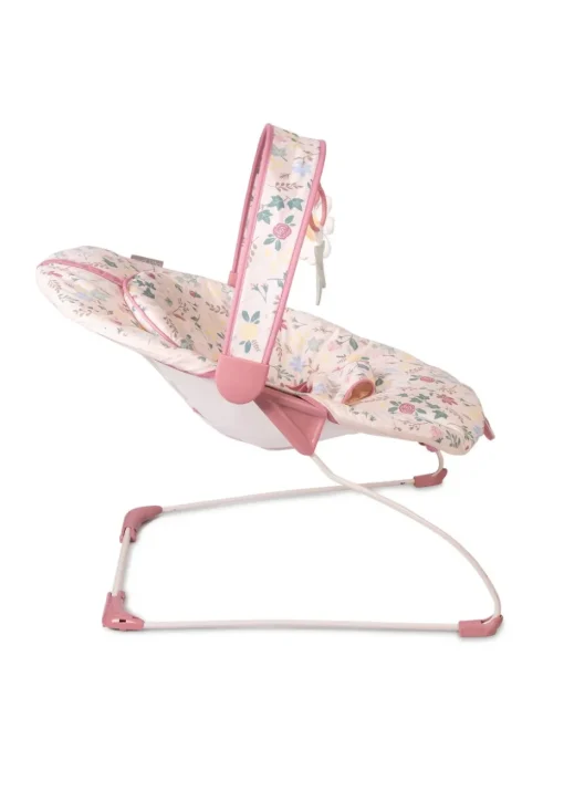 Red Kite Cozy Bounce Rose & Ivy Bounce Chair