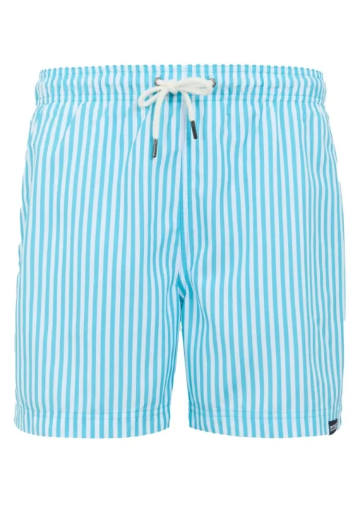 Regatta Aquarius Blue Stripe Loras Swim Shorts