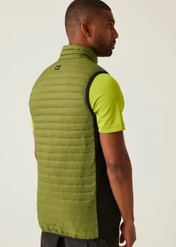 Regatta Forest Green Andreson Water Repellent Extol Stretch Hybrid Bodywarmer