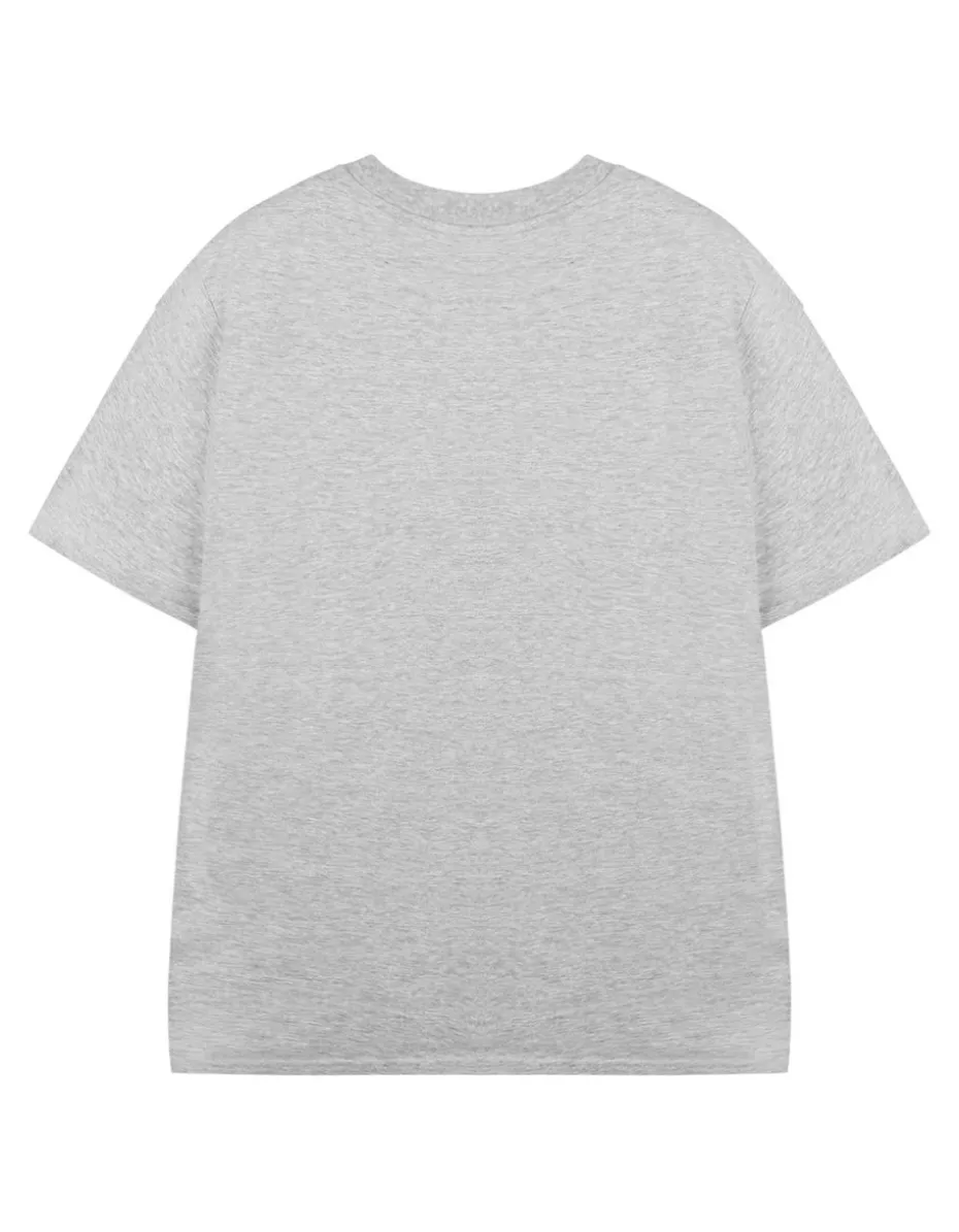 Roald Dahl Charlie & The Chocolate Factory Unisex Kids Grey T-Shirt (3-14 Years)