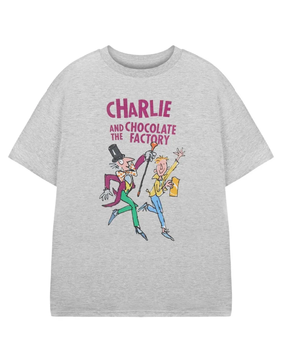 Roald Dahl Charlie & The Chocolate Factory Unisex Kids Grey T-Shirt (3-14 Years)