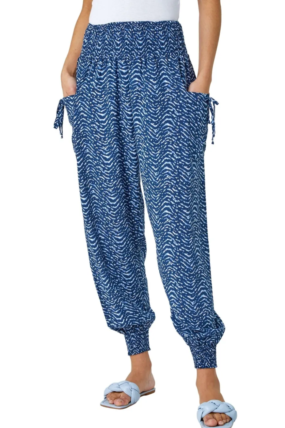 Roman Blue Wave Print Elastic Waist Hareem Trousers