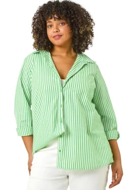 Roman Green Curve Stripe Buttoned Shirt