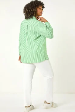 Roman Green Curve Stripe Buttoned Shirt
