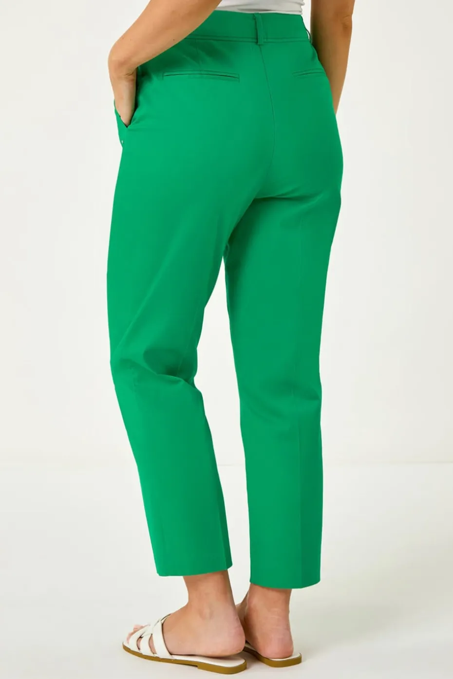 Roman Green Petite Tapered Stretch Trouser